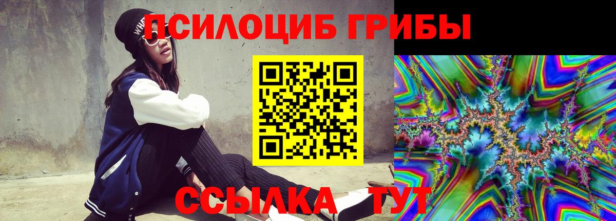 Псилоцибиновые грибы прущие грибы Будённовск