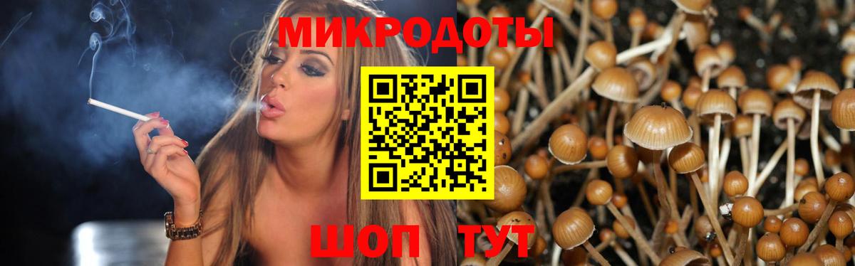 Будённовск  где можно купить   Вход с VPN  Псилоцибиновые грибы Psilocybine cubensis 