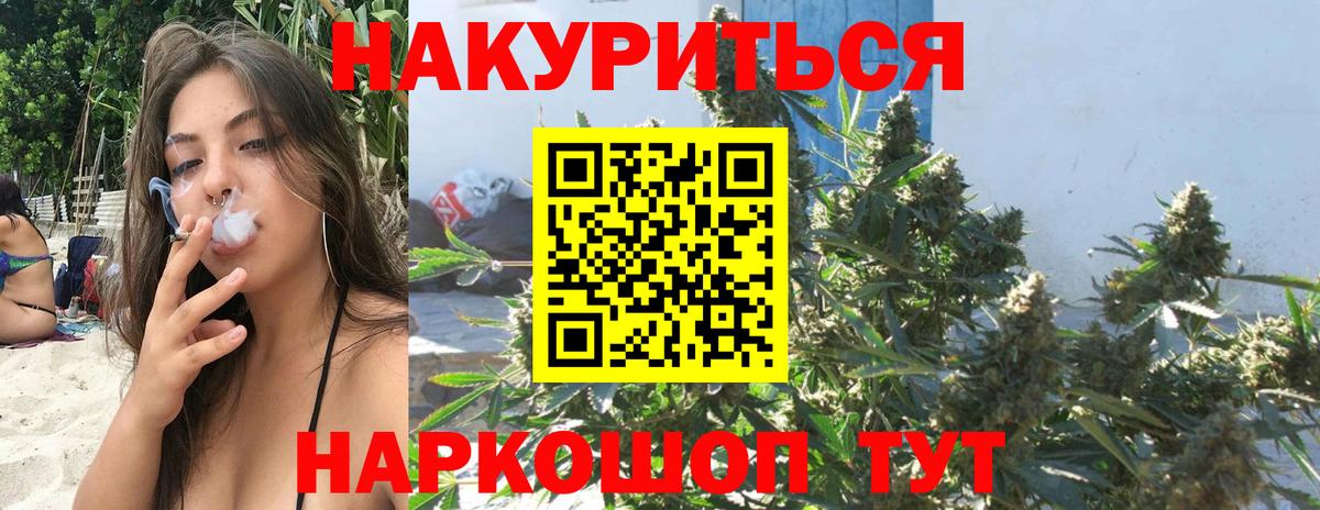 Марихуана сатива  Марихуана конопля  Вход с VPN  Будённовск 
